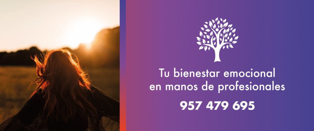 Psicóloga Córdoba durante sesión online